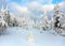 Beautiful wintry view of snowy wood on mountains