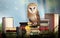 Beautiful wise owl on books in fantasy world