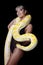 The beautiful woman with the big yellow snake