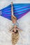 Beautiful, woman in bikini posing on a hammock on the caribbean beach.