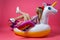 A beautiful woman blonde in a sexy sundress in white sneakers sits lifting her legs up on an inflatable multi-colored unicorn on a