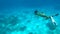 Beautiful Woman Diving Underwater. Snorkeling Girl Swimming in Blue Cristal Clear Water. HD. Similan, Thailand.