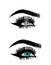 Beautiful woman eyes close-up, thick long eyelashes, black and white vector