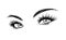 Beautiful Woman Eyes with Eyelash Extensions Sketch