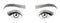Beautiful woman eyes. Girl`s eyes with long eyelashes and eyebrows sketch