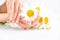 Beautiful woman french manicured hands with fresh daisy flowers