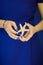 Beautiful woman hands with perfect nail polish holding little starfish in front of blue dress