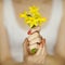 Beautiful woman hands with red nail polish art holding yellow flowers, jonquil