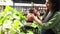 Beautiful woman happily waters a plant in a pot.