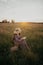 Beautiful woman in hat and linen dress with book sitting on chair in summer meadow sunset. Slow life