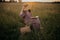 Beautiful woman in hat and linen dress with book sitting on chair in summer meadow sunset. Slow life