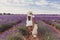 Beautiful woman with her golden retriever dog in lavender fields at sunset. Pets outdoors and lifestyle. Back view