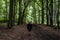 Beautiful woman hiker standing on forest trail looking away. Female on hike in nature spooky mystical forests