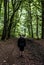 Beautiful woman hiker standing on forest trail looking away. Female on hike in nature spooky mystical forests