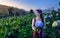 Beautiful woman holding hydrangea in a garden, Chiang Mai, Thailand