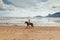 Beautiful woman on a horse. Horseback rider. Paradise tropical beach.