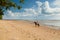 Beautiful woman on a horse. Horseback rider. Paradise tropical beach.