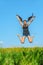 Beautiful woman jumps high into sky