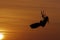 Beautiful woman kitesurfing jump at golden hour girl jumping kiteboarding silhouette at sunset