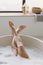 Beautiful woman legs in bathtub with foam.