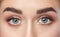 Beautiful woman with long eyelashes, beautiful make-up and thick eyebrows. Beautiful blue eyes close up. Looking at the camera.