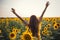 Beautiful woman with long hair hands up in a field of sunflowers