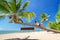 Beautiful woman lying on the amazing palm tree