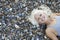 Beautiful Woman Lying On Pebbles At Beach