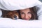 Beautiful woman lying under the blanket in the bed with her lovely dachshund dog. Dog and owner together