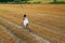 Beautiful woman with old bike in the wheat field