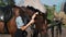 Beautiful Woman Pets a Brown Horse Near the Stable at Summer Day, Slow Motion