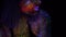 Beautiful Woman with Purple Hair Moves in Neon UV Light, Slide Up. Model Girl with Fluorescent Creative Psychedelic