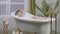 Beautiful woman relaxing in bubble bath lying in bathtub. Beauty care, leisure activity and healthcare concept
