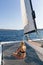 Beautiful woman relaxing on a summer sailing cruise, sitting and sunbathing in hammock of luxury catamaran sailing