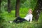 Beautiful woman relaxing under a big old tree