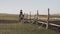 Beautiful woman riding horse with dog along fence. Young cowgirl at brown horse