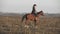 Beautiful woman riding horse at sunrise field. Young cowgirl at brown horse