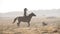 Beautiful woman riding horse at sunrise field. Young cowgirl at brown horse