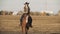 Beautiful woman riding horse. Young cowgirl at brown horse outdoors