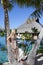 Beautiful woman with a rose near a palm tree, Tahiti