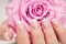 Beautiful woman\'s nails with french manicure and rose