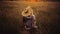 Beautiful woman in straw hat dreaming and sitting on rustic chair in summer meadow. Atmospheric