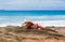 Beautiful woman in straw sun hat and red swimsuit, Seychelles