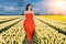 Beautiful Woman in summer dres standing in colorful tulip flower fields in Amsterdam region, Holland, Netherlands