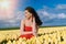 Beautiful Woman in summer dres standing in colorful tulip flower fields in Amsterdam region, Holland, Netherlands