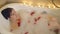 Beautiful woman takes a bath with foam and rose petals