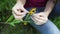 Beautiful woman tears off petals of a yellow flower