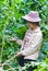 Beautiful woman working in the coffee garden.