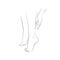 Beautiful womans female legs and hand vector