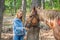 Beautiful women give carrot to her horse